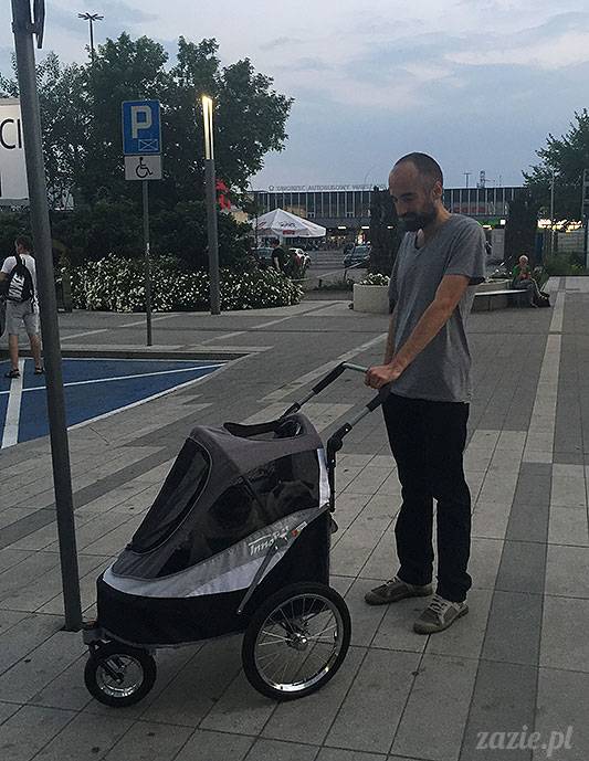 mopsy mopsiki Zazie Kumok Miszur