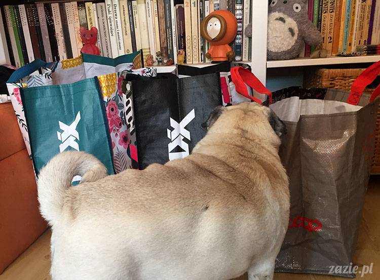 mopsy mopsiki Zazie Kumok Miszur