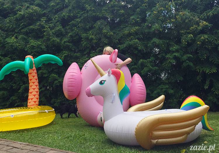 mopsy mopsiki Zazie Kumok Miszur