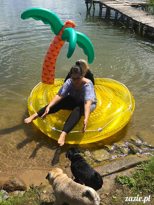 mopsy mopsiki Zazie Kumok Miszur