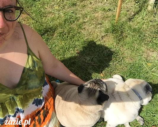 mopsy mopsiki Zazie Kumok Miszur