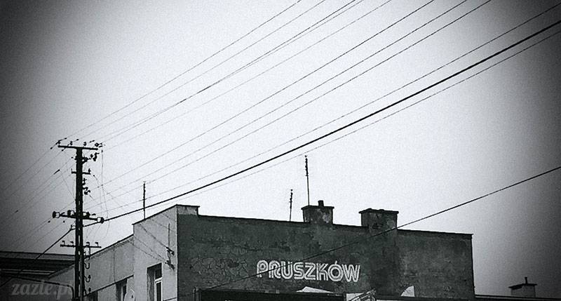 luty marzec Pruszków mieszkanie Zazie Kumok Miszur mopsy