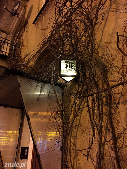 luty marzec Pruszków mieszkanie Zazie Kumok Miszur mopsy