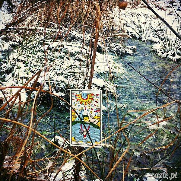 luty marzec Pruszków mieszkanie Zazie Kumok Miszur mopsy