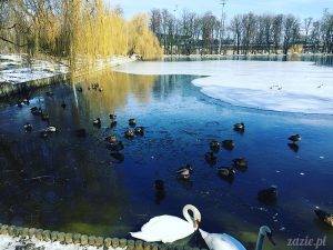 365 dni Nowego Życia ♥ LUTY i MARZEC 2018: jak odzyskać spokój na końcu świata
