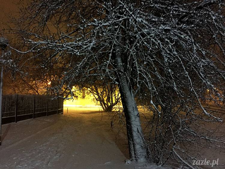 Pruszków zimą