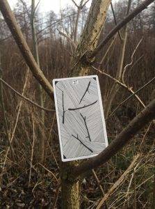 karta dnia: PIĄTKA KIJÓW