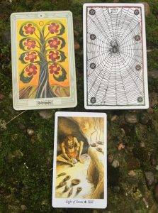 karta dnia: ÓSEMKA PENTAKLI