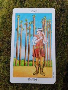 karta dnia: DZIEWIĄTKA KIJÓW