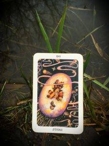 karta dnia: XVII Z’ÉTOILE (GWIAZDA)