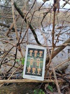 karta dnia: ÓSEMKA KIELICHÓW