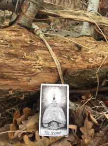 karta dnia: IX PUSTELNIK