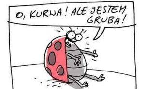 Nikogo nie interesuje, dlaczego jesteś gruba