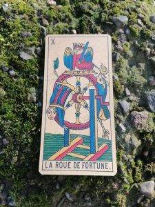 karta dnia: X KOŁO FORTUNY