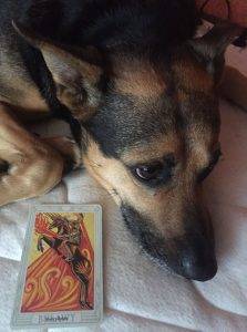 karta dnia: RYCERZ KIJÓW