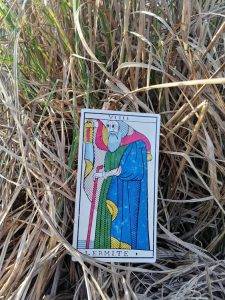 karta dnia: IX PUSTELNIK