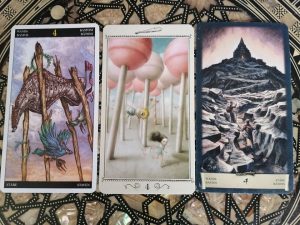 karta dnia: CZWÓRKA KIJÓW