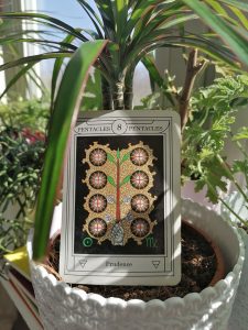 karta dnia: ÓSEMKA PENTAKLI