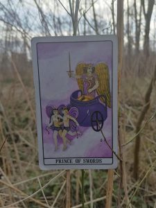 karta dnia: KSIĄŻĘ MIECZY