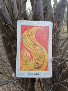 karta dnia: KSIĘŻNICZKA (WALET) KIJÓW