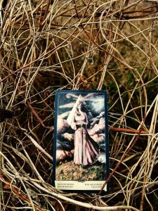 karta dnia: WALET MIECZY