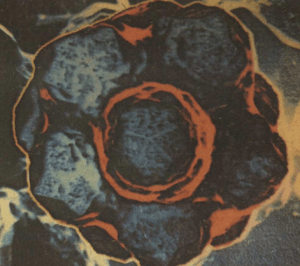 romboedry w kwazikryształach [Szkiełko i oko, lipiec 1988]