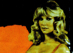 Porucznik Zgiet na tropie niewiadomego (1983)