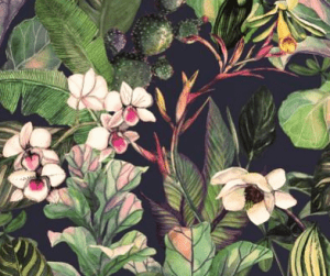 A dlaczego napisałaś na blogu, że…