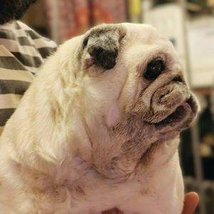 Brawo, Kumok! ❤️ genialne wyniki badań!!! ❤️