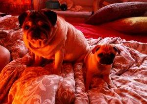 żywe dowody na cudowność życia i piękno świata…