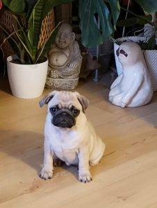 kolejne objawy niegrzeczności