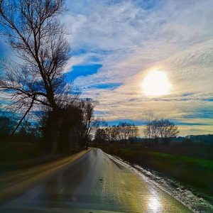 I swear there’s nothing