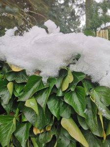 kwietniowe roztopy, rozkminy i najważniejsza decyzja, która jak zwykle podjęła się sama