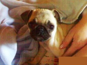 miłość życia z Olx