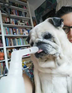 airbusem przez kosmos – byleby zdążyć na poranne inhalowanie Kumoka