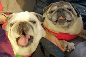 jak przygoda, to tylko w Warszawie i przy temp. -20*C