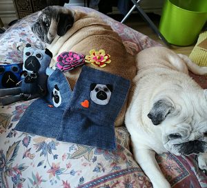 mopsie cudeńka gwiazdkowe