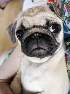 słodko-gorzka majówka