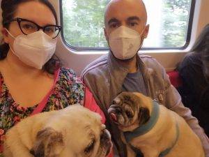 poniedziałek rozpoczynamy od podróży do kardiologa