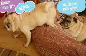 Kumok is back!!! 😄🤘🏻❤️