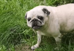 dzisiaj troszkę gorzej, ale nie panikujemy