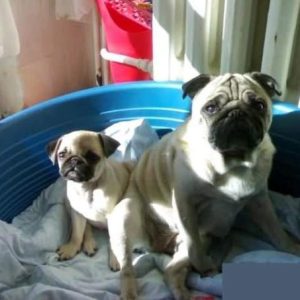 13 urodziny Kumoka ❤️