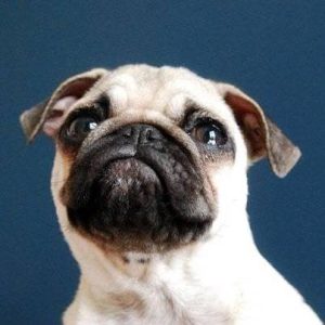 Minęły już dwa miesiące bez Kumoka. I będzie ich coraz więcej.