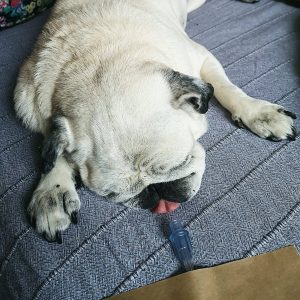 jeśli dziś jest niedziela, to jedziemy na ostry dyżur