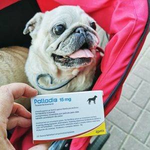 startujemy z leczeniem onkologicznym!