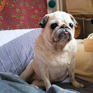 Nie wiem, co się dzieje z Kumokiem, ale bardzo, bardzo się boję…