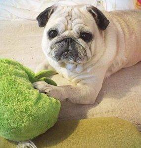 Facebook bezlitośnie przypomina: