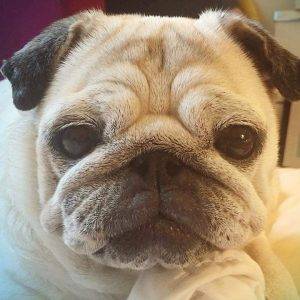 Patrzę na tę buzię i czuję ciepło, słodycz, miód na serce….