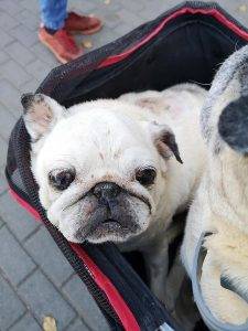 kolejna koszmarna diagnoza?