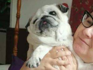 życie jest tutaj, na tych czterech krótkich łapkach…